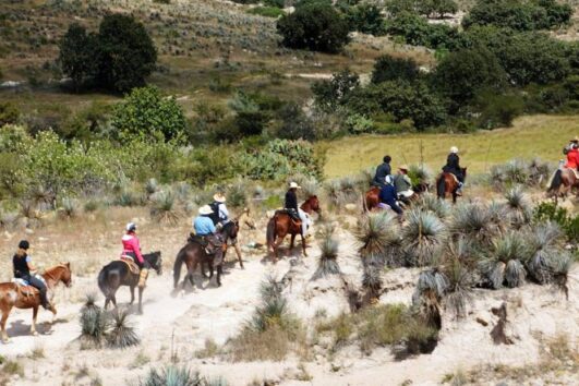 Deosai Plains Horse Safari