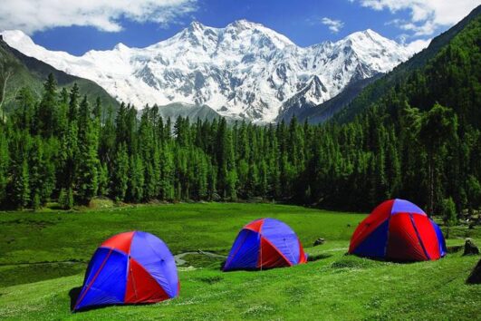 Fairy Meadows Trek & Hunza Tour.