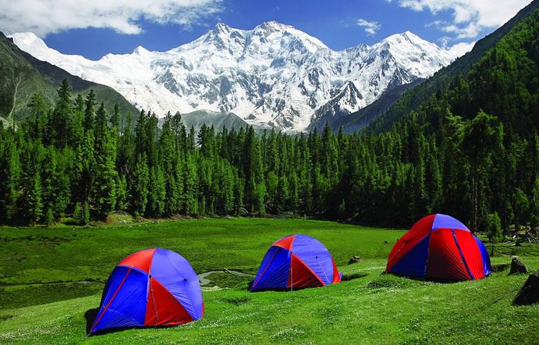 Fairy Meadows Trek & Hunza Tour.