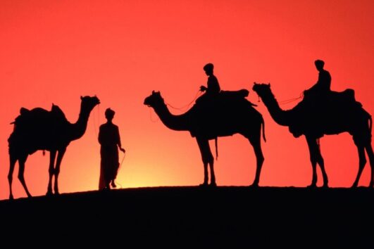 Camel Safari in Pakistan